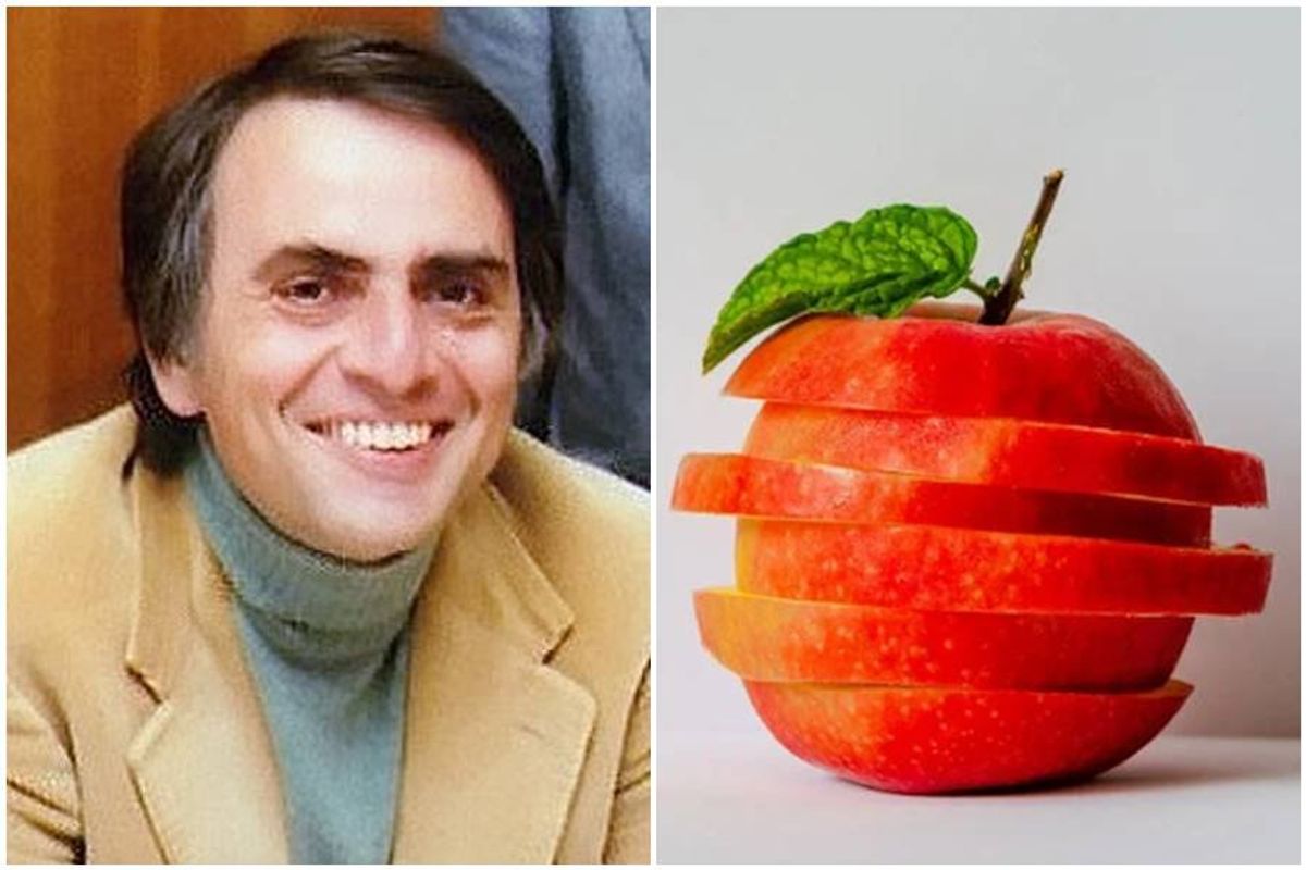 carl sagan, cosmos 4th dimension